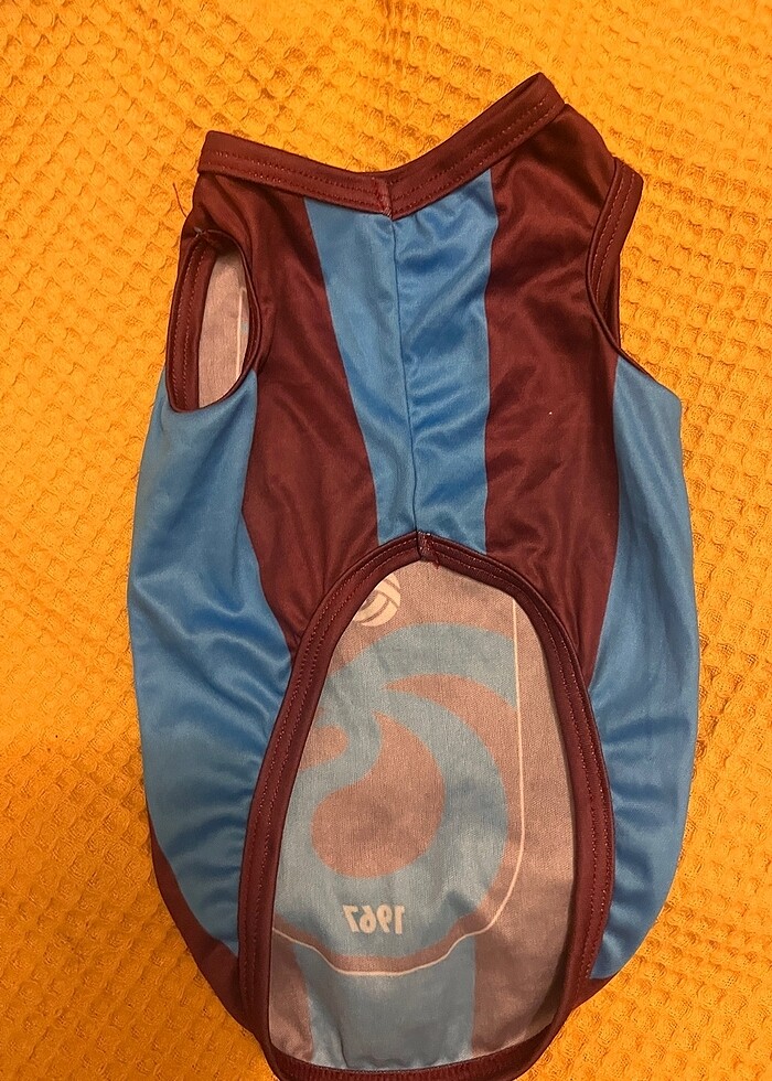 Kedi köpek kostümleri - Görsel 2