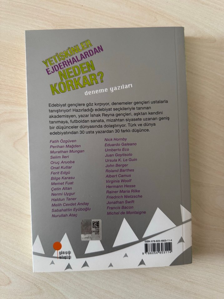 Yetişkinler Ejderhalardan Neden Korkar? - İshak Reyna - Görsel 2