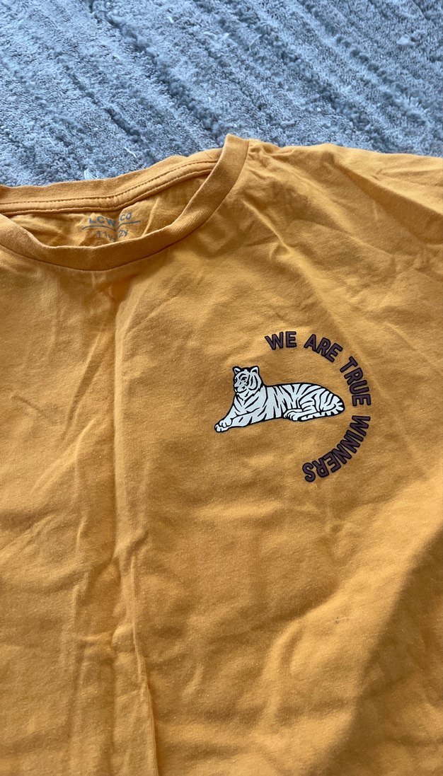 2 adet LCW tişört - Görsel 3