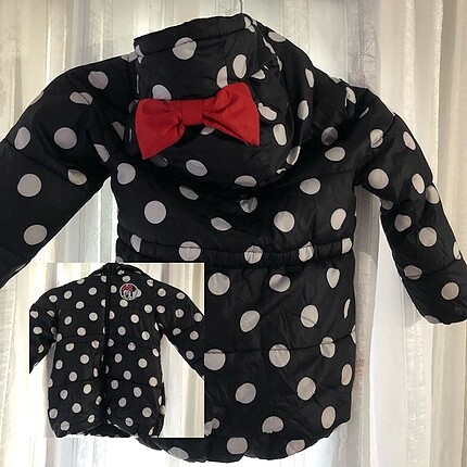Mont Mickey mouse