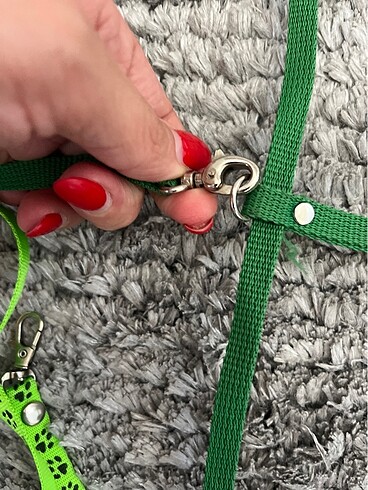 Beden Renk Kedi tasması