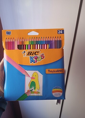 24'lü kuru boya