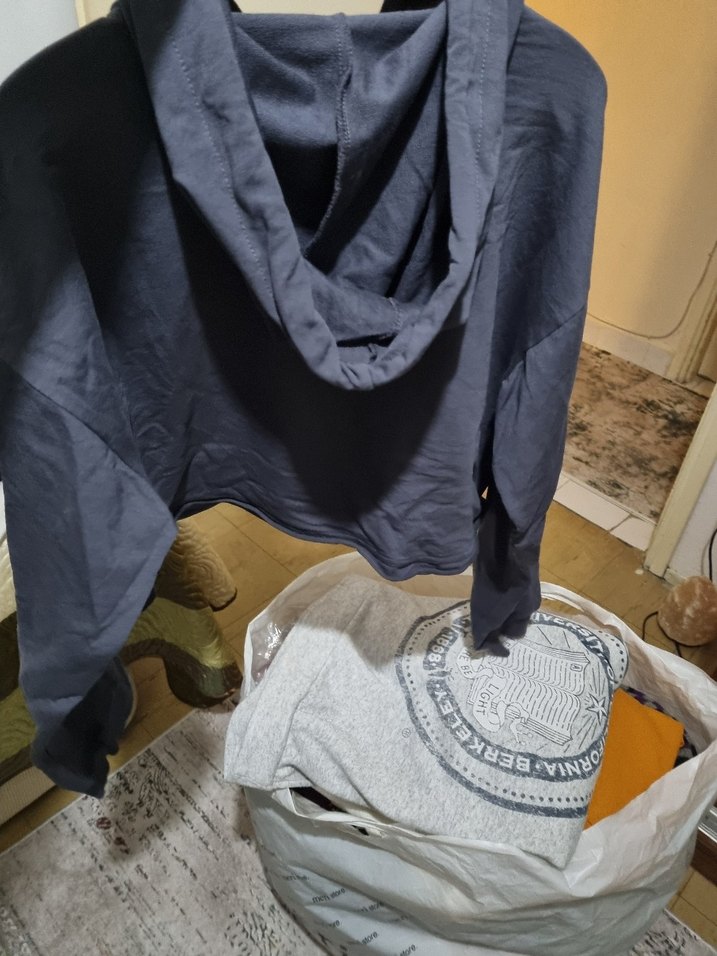 Gri Baskılı Kapüşonlu crop Sweatshirt - Görsel 3