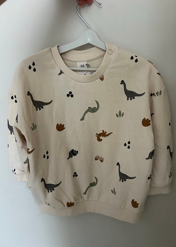 Dinozor Baskılı Erkek Çocuk Sweatshirt - Görsel 2