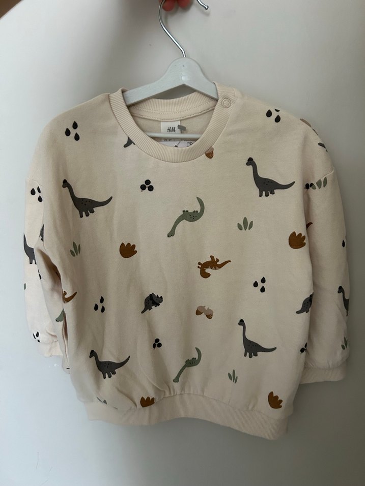 Dinozor Baskılı Erkek Çocuk Sweatshirt - Görsel 2