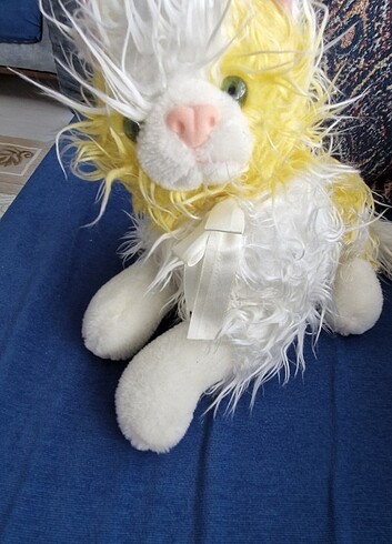 Pelus kedi 