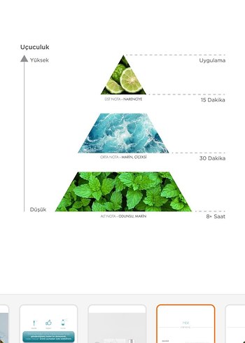 Imprime mer erkek Parfümü 100 ml - Görsel 4