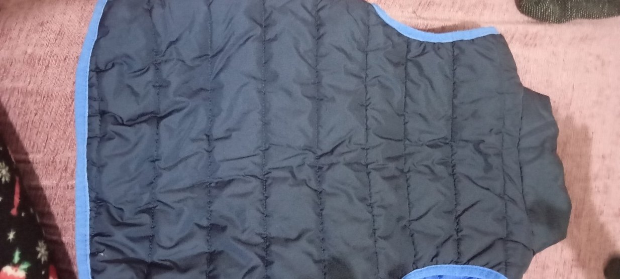 Erkek Çocuk Fermuarlı Mavi Biker Yelek - Görsel 2