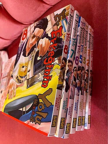 ev erkeğinin yolu manga