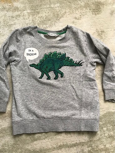 Erkek cocuk sweat