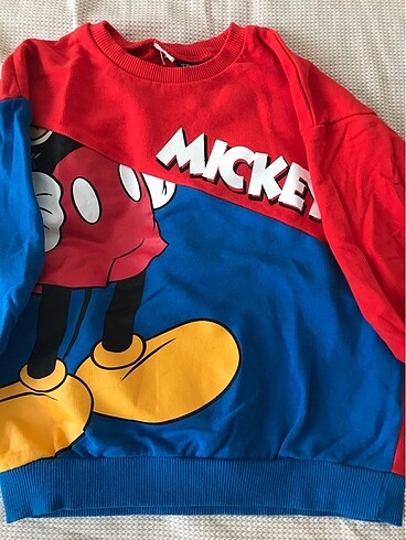 24-36 Ay Beden çeşitli Renk Erkek cocuk sweat