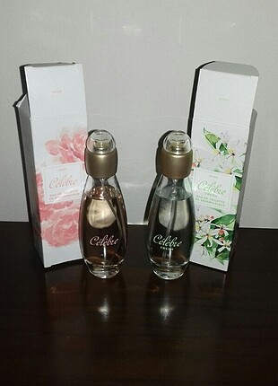 Avon Avon Celebre parfüm çeşileri 