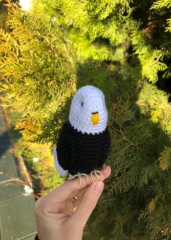 BJK kuş - Görsel 3