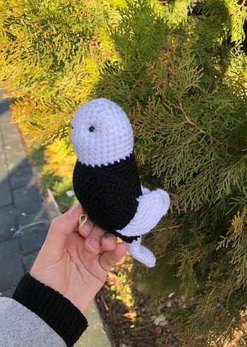 BJK kuş - Görsel 4