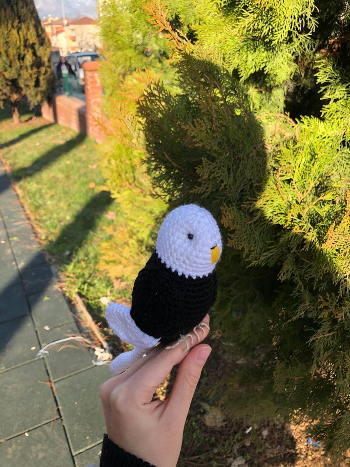 BJK kuş - Görsel 2