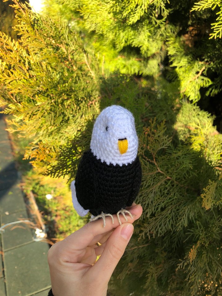 BJK kuş - Görsel 3