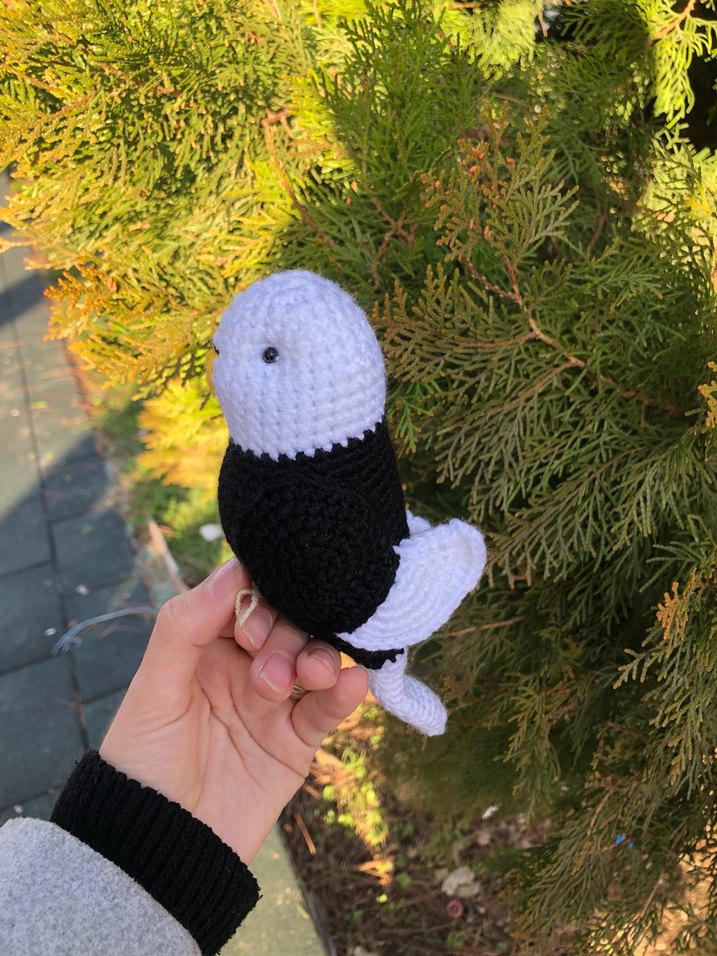 BJK kuş - Görsel 4