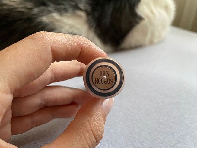 Flormar Flormar Perfect Coverage Kapatıcı