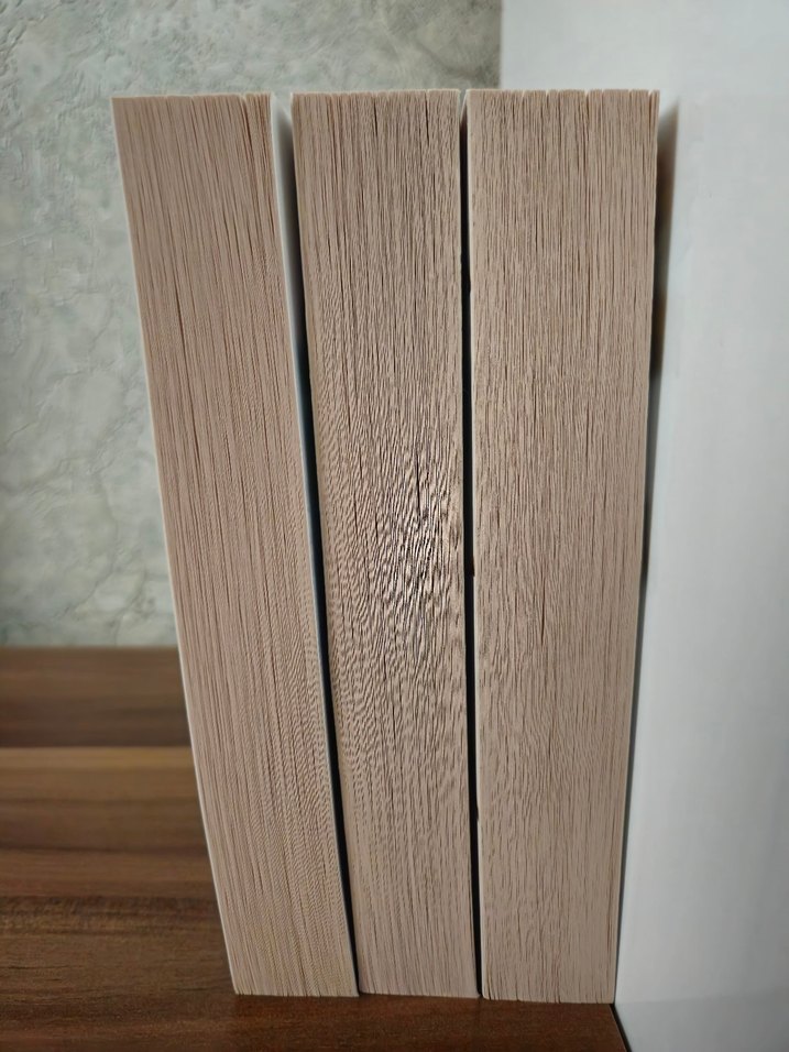 Holly Black - The Folk of the Air Serisi - Görsel 2