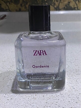 Zara Gardenia