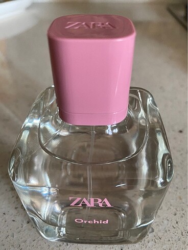 Zara Orchid