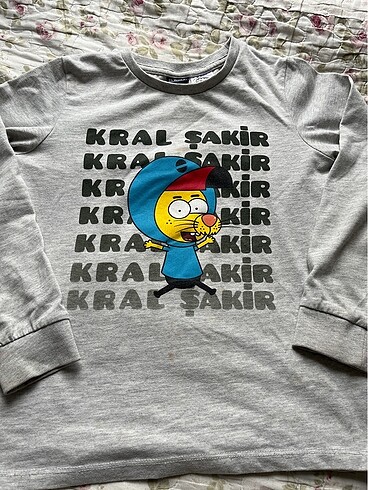 LC Waikiki Erkek çocuk swetshirt