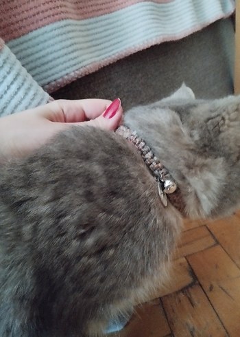 Renkli Boncuklu Bohem Kedi Tasması - Görsel 7