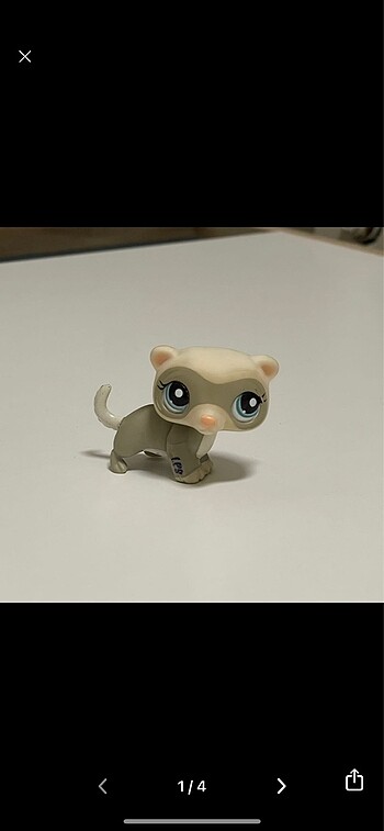 lps miniş