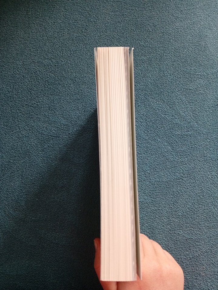 Doğadaki Son Çocuk - Richard Louv - Görsel 2