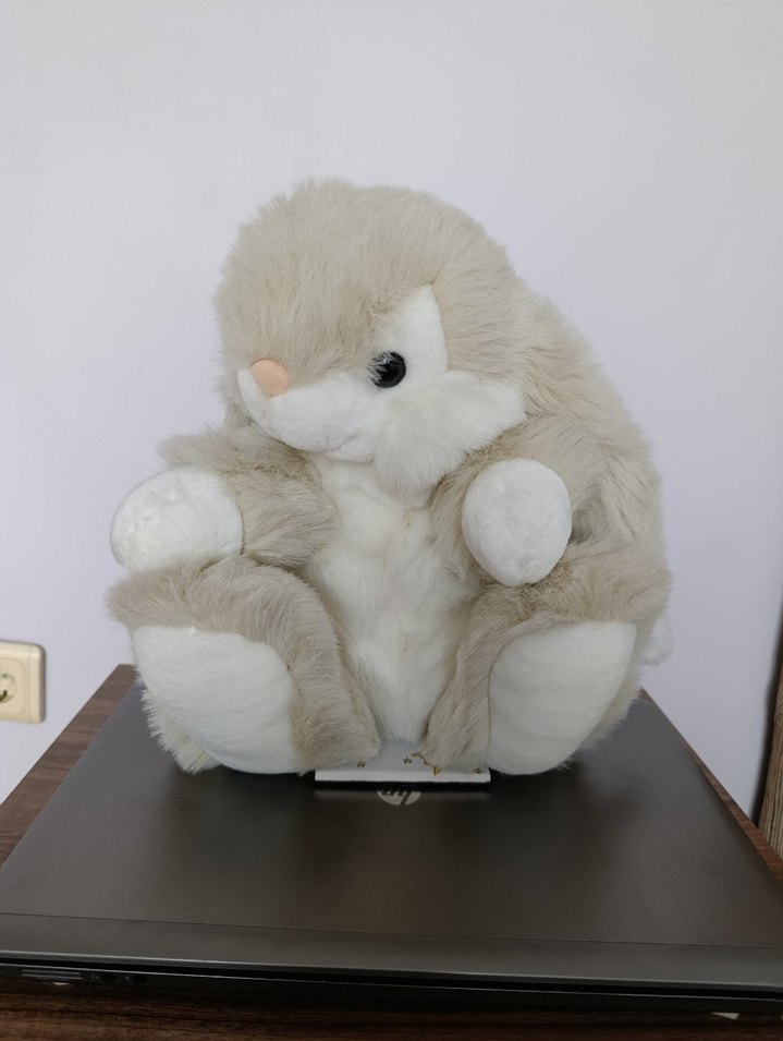 Gri Peluş Tavşan Oyuncak - Görsel 3