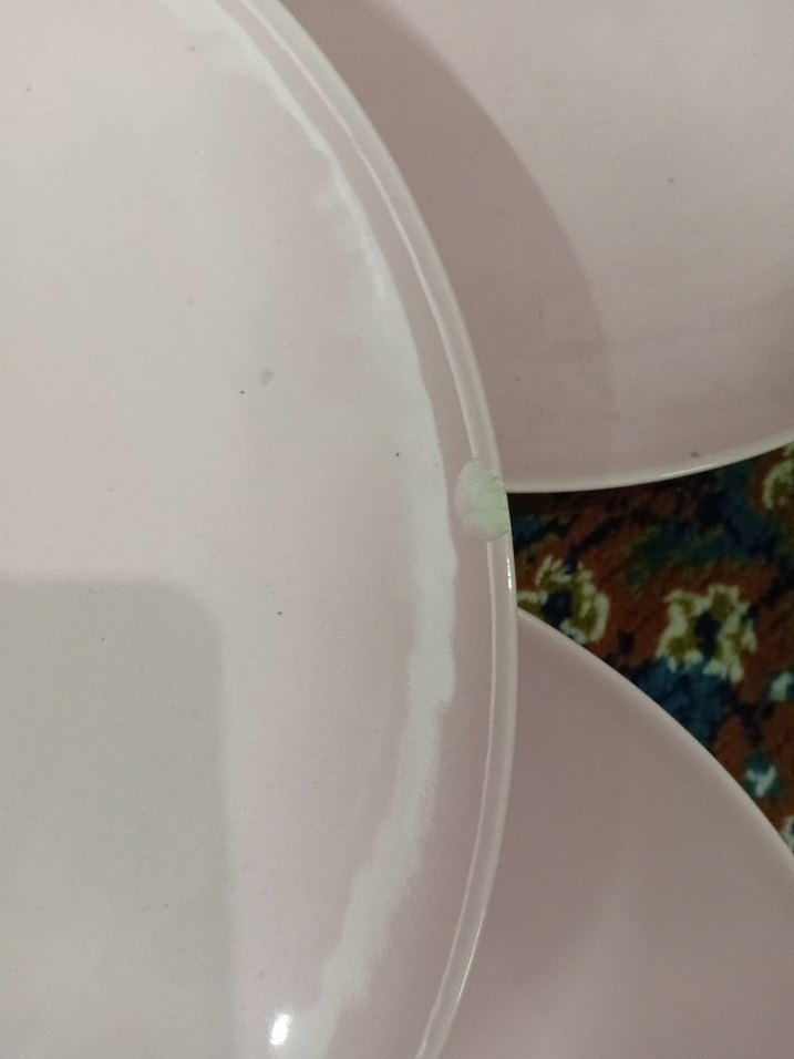 6 adet servis tabağı - Görsel 4