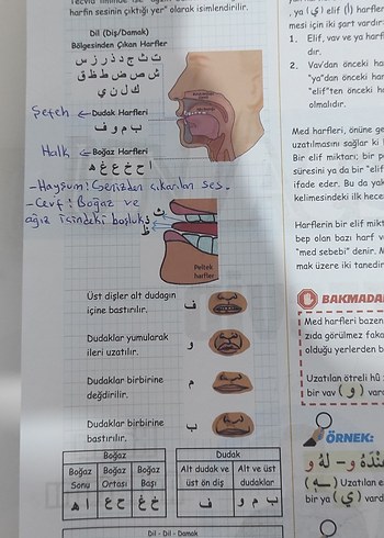 Ahmet şenol ÖABT DKAB/İHL