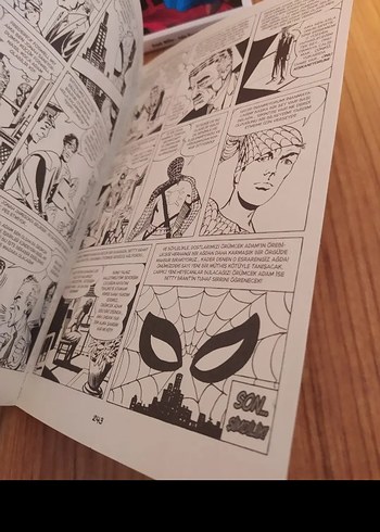 The Amazing Spider-Man 1 - Görsel 8