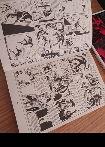 The Amazing Spider-Man 1 - Görsel 6