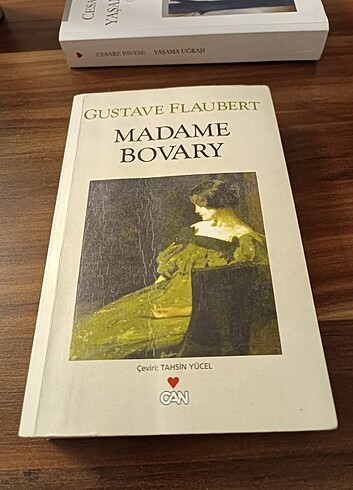 Gustave Flaubert - Madame Bovary 