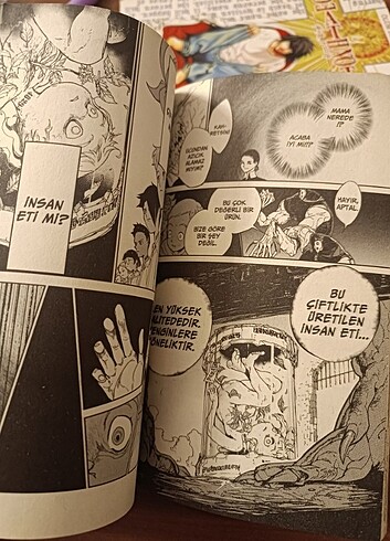  Beden Renk Vadedilmis Yokyer 1 Manga 