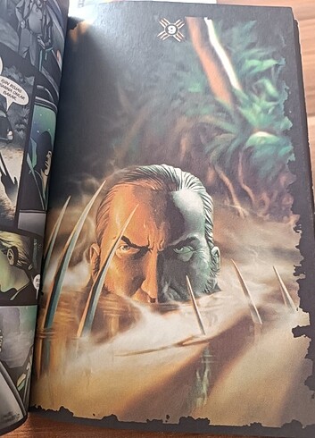 Beden Renk Wolverine Çakal Geçidi
