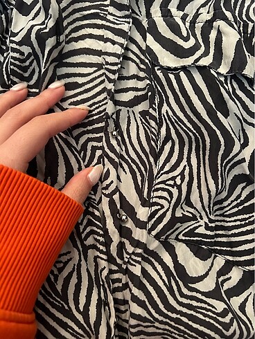 Zara Zara Zebra Gömlek