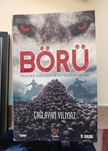 çağlayan yılmaz börü