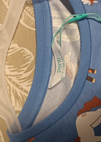 12-13 Yaş Beden mavi Renk erkek çocuk pijama takımı