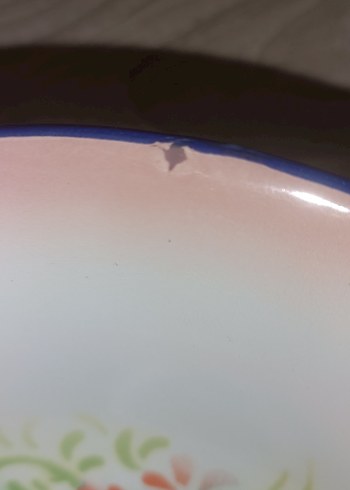 Çiçek Desenli Pembe Tabak Seti 22 cm - Görsel 7