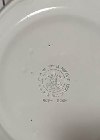 Çiçek Desenli Pembe Tabak Seti 22 cm - Görsel 5