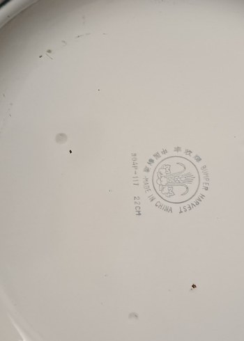 Çiçek Desenli Beyaz Tabak 22 cm - Görsel 5