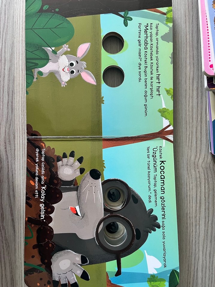 Tavşan Taptap ve Sevimli Dostları Çocuk Kitabı - Görsel 3