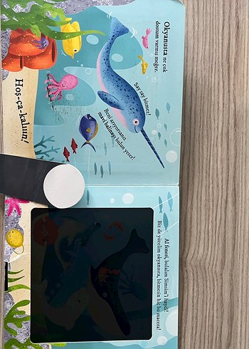 Fenerli Kitap: Bulurum Seni - Okyanusta - Görsel 5