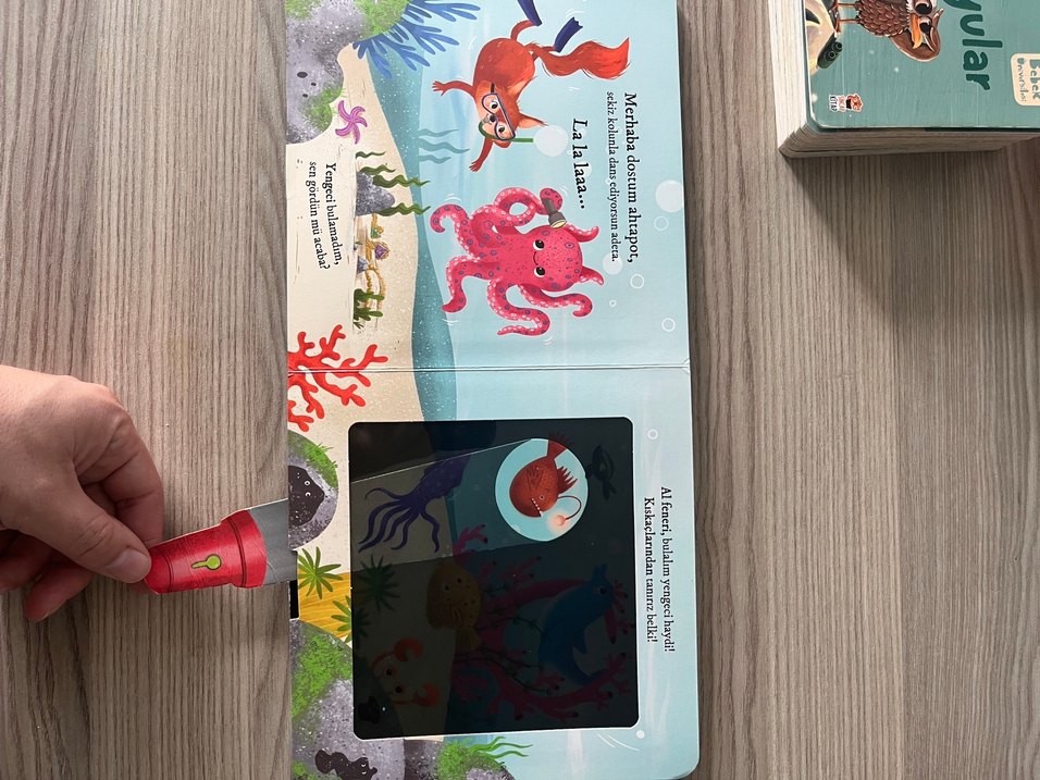 Fenerli Kitap: Bulurum Seni - Okyanusta - Görsel 4