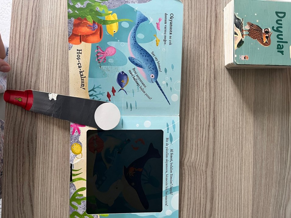 Fenerli Kitap: Bulurum Seni - Okyanusta - Görsel 5