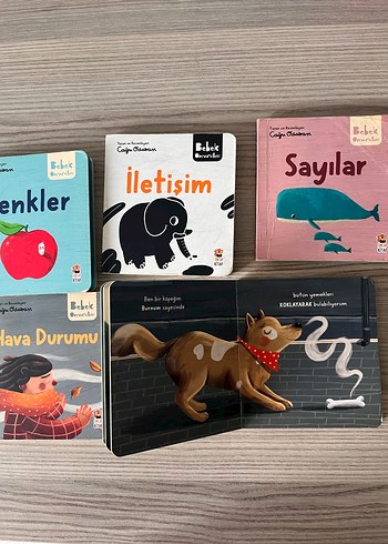 Bebek Üniversitesi Seti 1: Hikayeli İlk Kavramlarım (4 Kitap) - Görsel 3