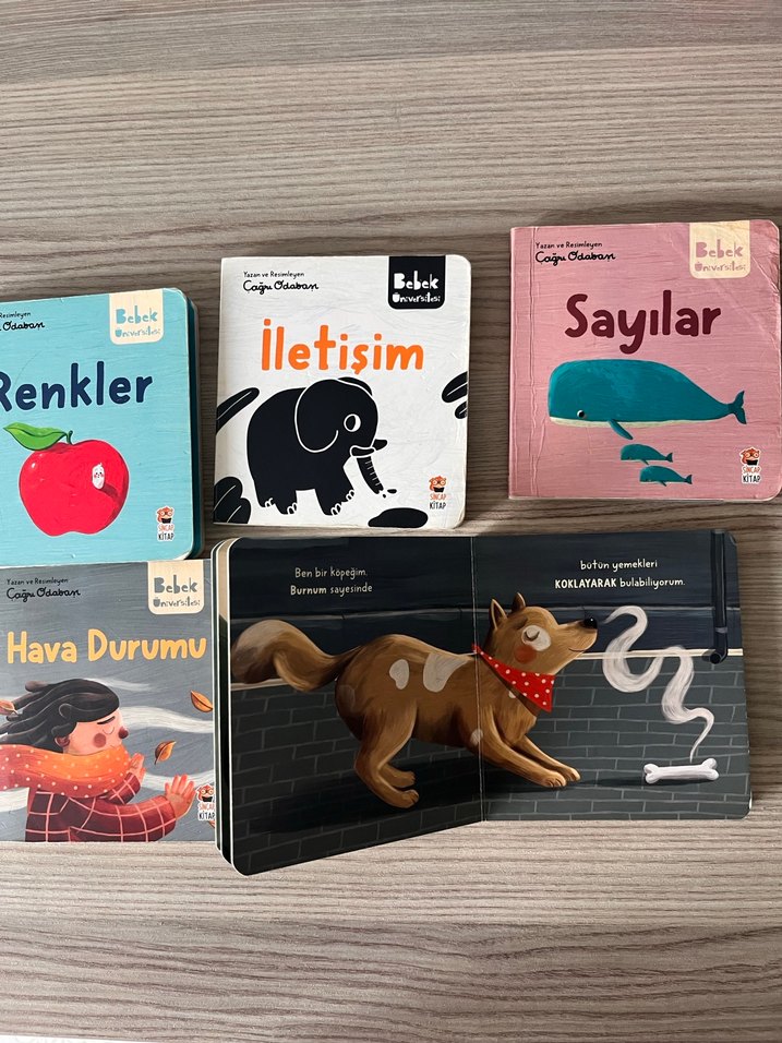 Bebek Üniversitesi Seti 1: Hikayeli İlk Kavramlarım (4 Kitap) - Görsel 3