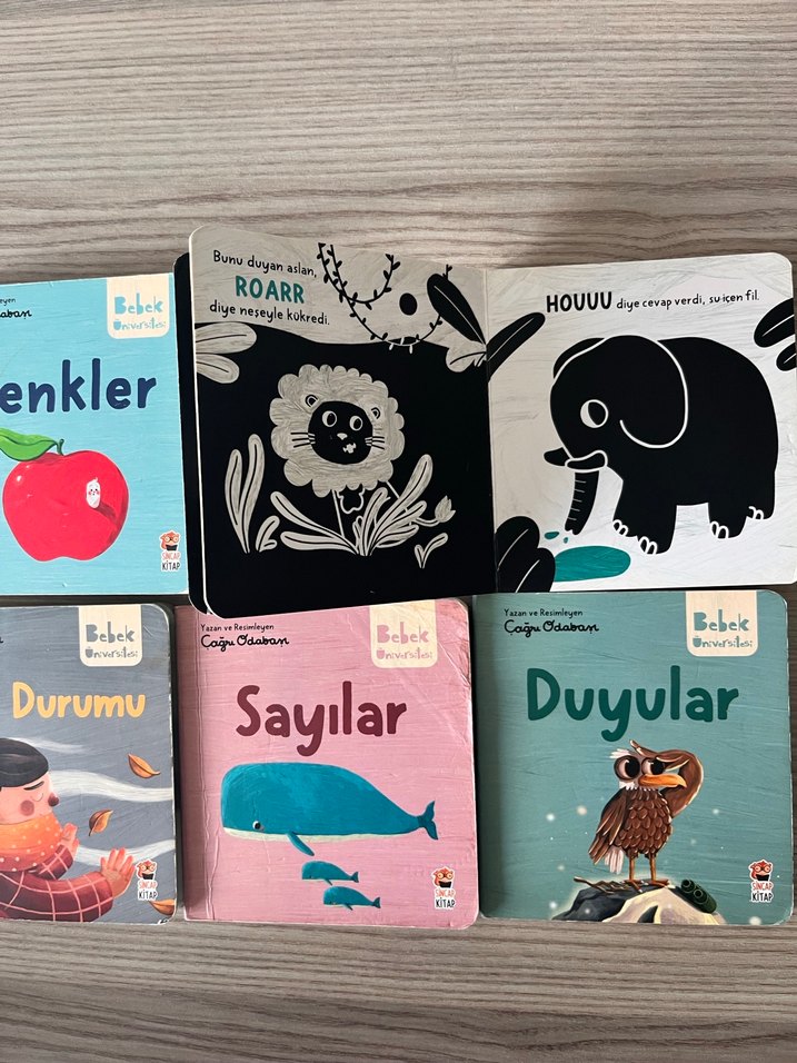 Bebek Üniversitesi Seti 1: Hikayeli İlk Kavramlarım (4 Kitap) - Görsel 4
